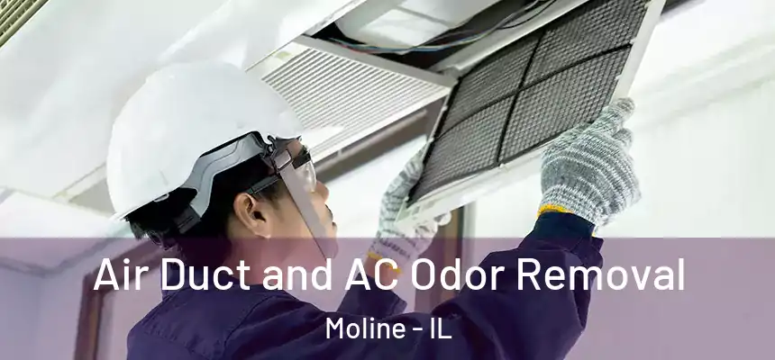 Air Duct and AC Odor Removal Moline - IL