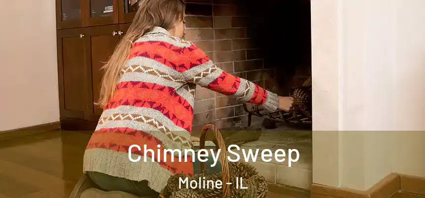  Chimney Sweep Moline - IL