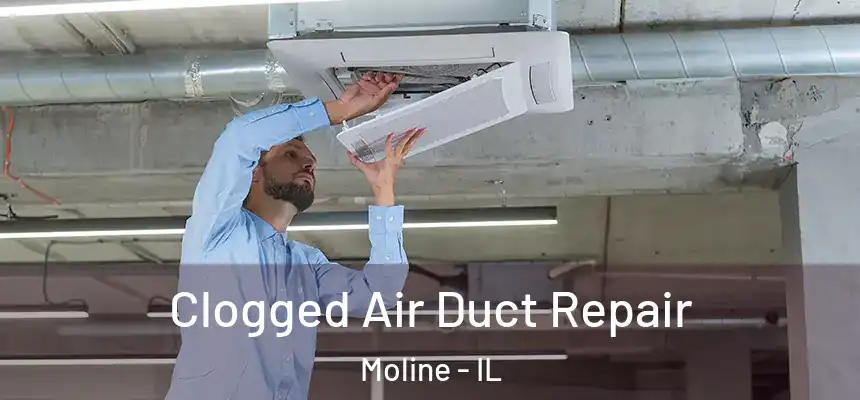  Clogged Air Duct Repair Moline - IL