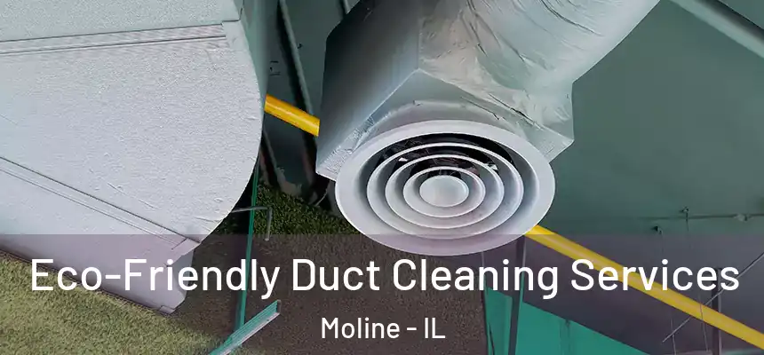  Eco-Friendly Duct Cleaning Services Moline - IL