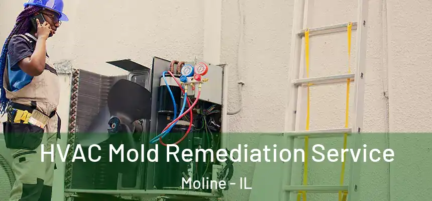  HVAC Mold Remediation Service Moline - IL