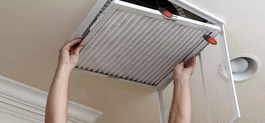 Preventive Cockroach-Proofing for Ducts in Moline