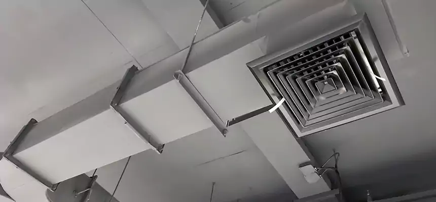 Restorative Allergy Relief Vent Cleaning – Coil, Blower & Housing Detail in Moline