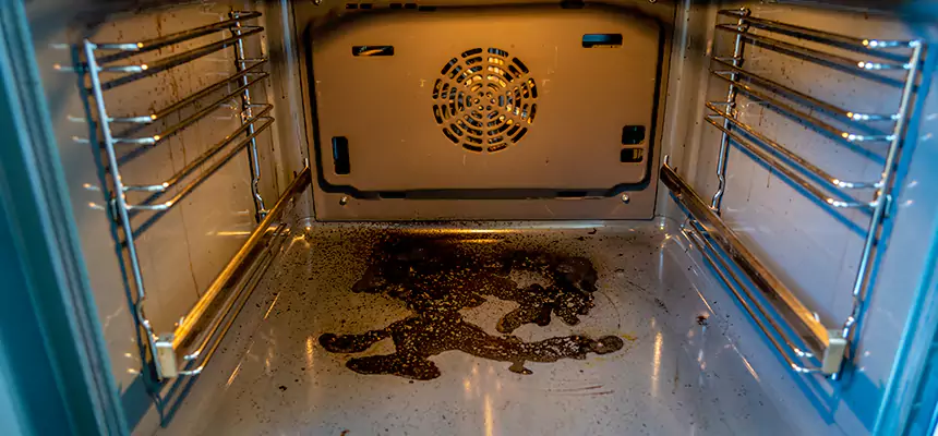 Our Dryer Vent Mold Cleaning Services in Moline, IL