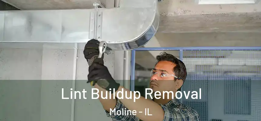  Lint Buildup Removal Moline - IL