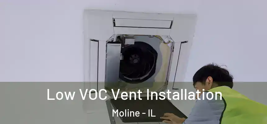  Low VOC Vent Installation Moline - IL