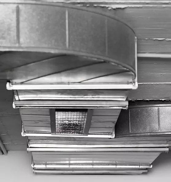 Professional Air Duct Pet Hair Removal in Moline, IL