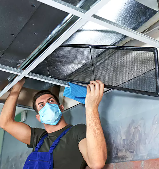 Professional Air Duct Pollen Cleaning in Moline, IL