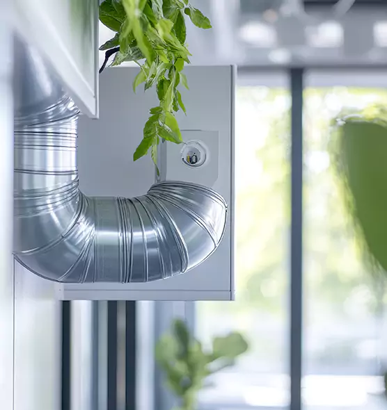 Professional Eco-Safe Dryer Vent Cleaning in Moline, IL