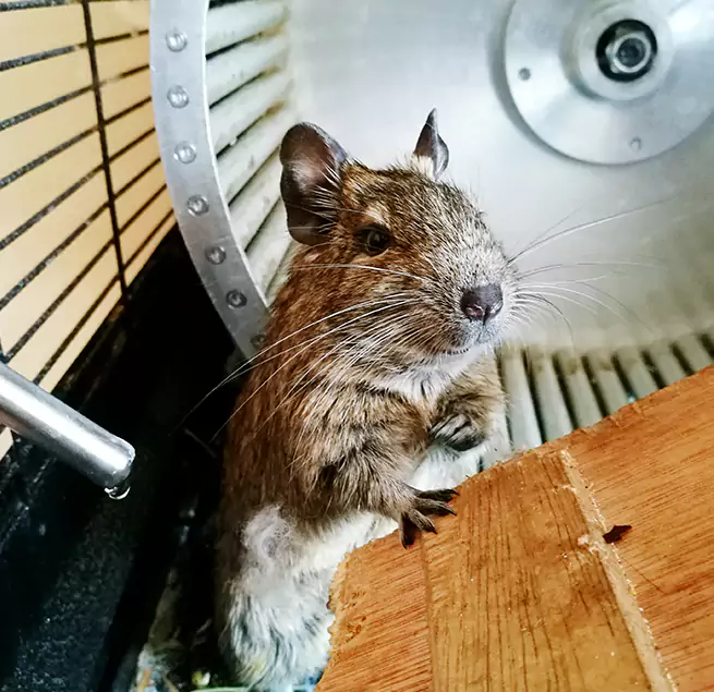 Why Homeowners & Businesses Trust Us Moline, IL