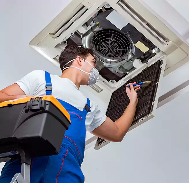 Why Homeowners & Businesses Trust Us in Moline, IL?