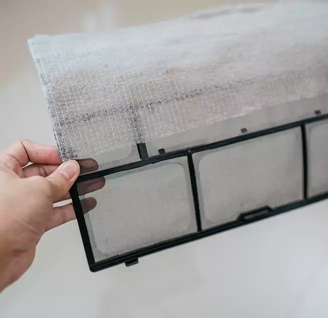 Why Homeowners & Businesses Trust Us in Moline, IL?