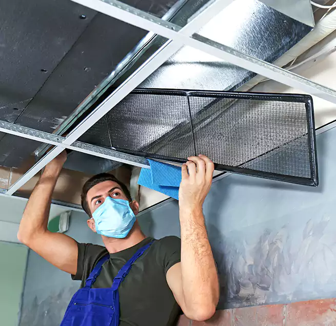 Why Homeowners Businesses Trust Us in Moline, IL