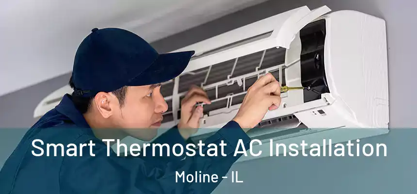  Smart Thermostat AC Installation Moline - IL