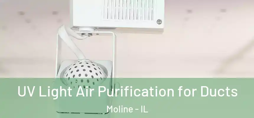  UV Light Air Purification for Ducts Moline - IL